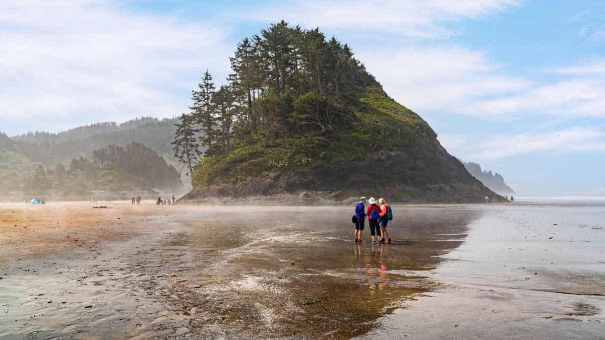 Discover Pioneer Rock on your next hike through Oregon City's trails.