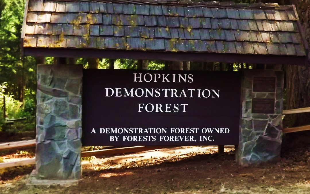 Sustainable Forest Management and Fun: Your Complete Guide to Hopkins Demonstration Forest