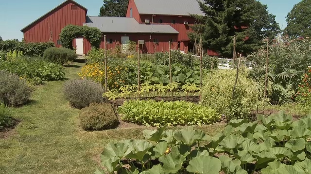 Explorers journey through time on one of Oregon's history-laden trails, blending adventure with education.