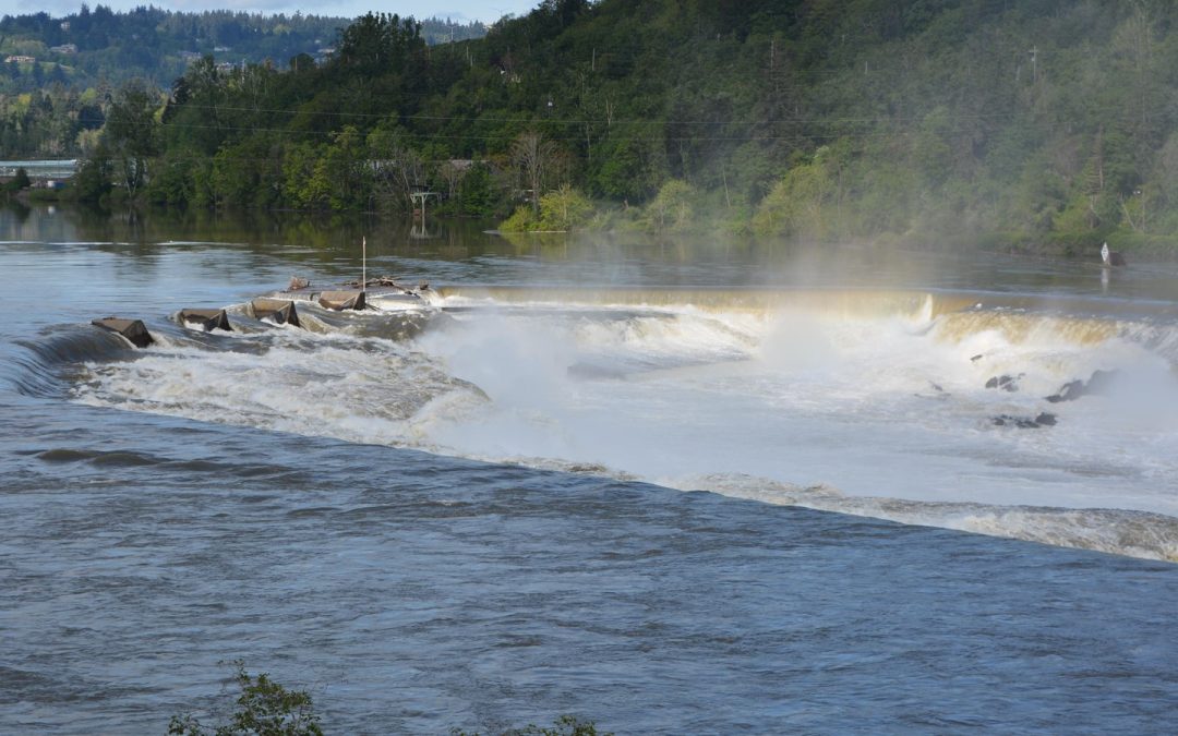 Willamette Falls: A Story of Natural Majesty, Cultural Significance, and Future Possibilities