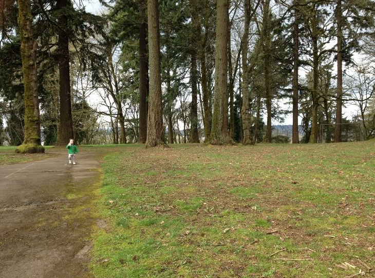 Atkinson Park: The Heart of Outdoor Fun in Oregon City, OR