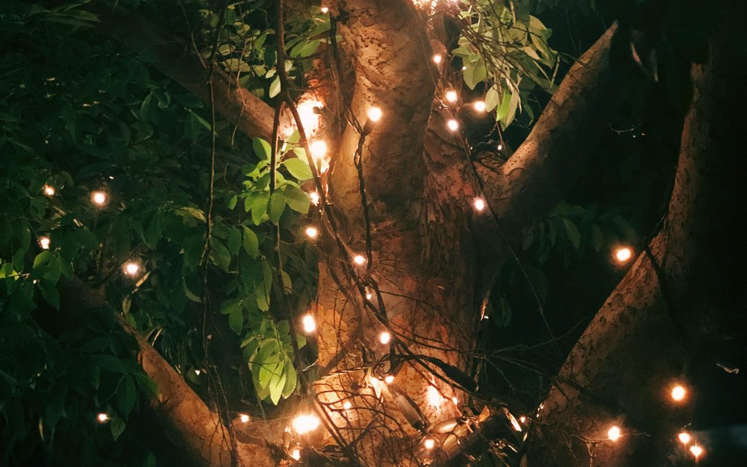 Illuminating the Holiday Spirit: The Tree Lighting at Liberty Plaza