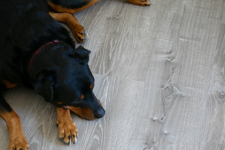 LVP floors offer easy and quick installation, perfect for busy homes.