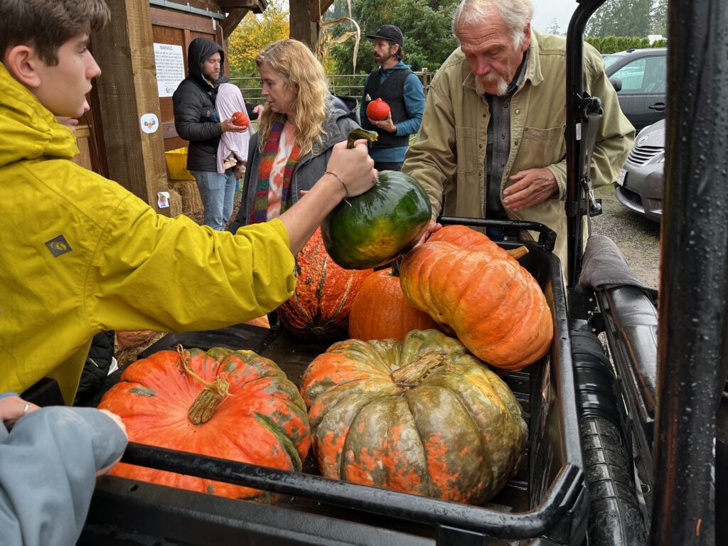 Pumpkin Patches in Oregon City, OR